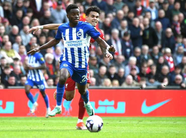 Adingra con la maglia del Brighton