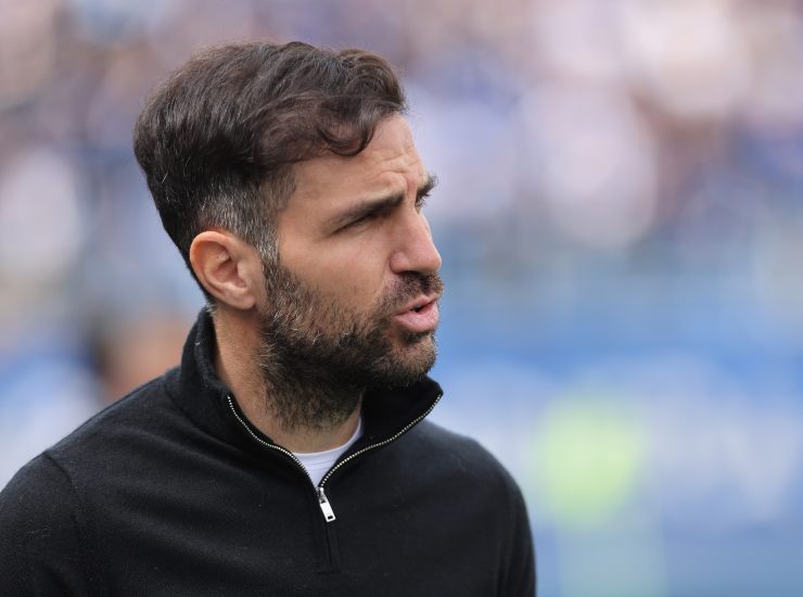 Fabregas in primo piano