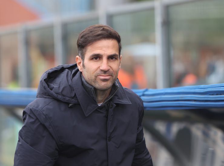 Fabregas in primo piano